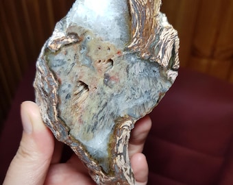 最高！キラキラ輝くパーミネラライズド珪化木！希少で美しい！倫理的に