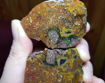 May include: Two halves of a geode with a colourful agate pattern. The agate is a mix of brown, yellow, red, green, and black. The geode is cut and polished, revealing the intricate patterns inside.