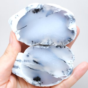May include: Two polished halves of a dendritic agate stone featuring a translucent white base with intricate, dark black fern-like inclusions branching across the smooth, concave surfaces of the mineral specimen.