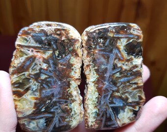 Puede incluir: Dos piedras pulidas de forma rectangular con patrones intrincados. Las piedras presentan una mezcla de colores marrón, negro y crema, con una estructura cristalina visible. Las piedras están sostenidas en la mano de una persona.