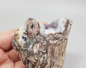 Raw Petrified Wood: Druzy Amethyst, Colorful Bands - Turkey Sourced, Untouched