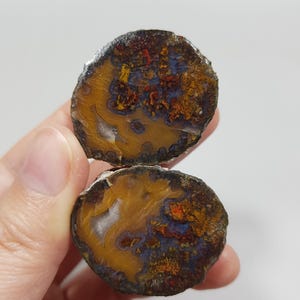 Vibrant Mustard Yellow and Indigo Violet Plume and Banded Black Sea Agate Pair