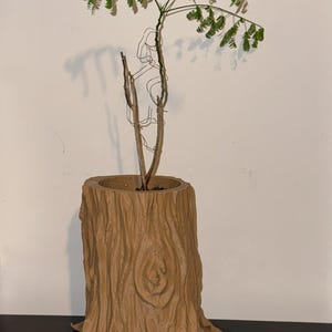 Rooted Elegance - Bonsai Tree Pot With Hidden Water Tray