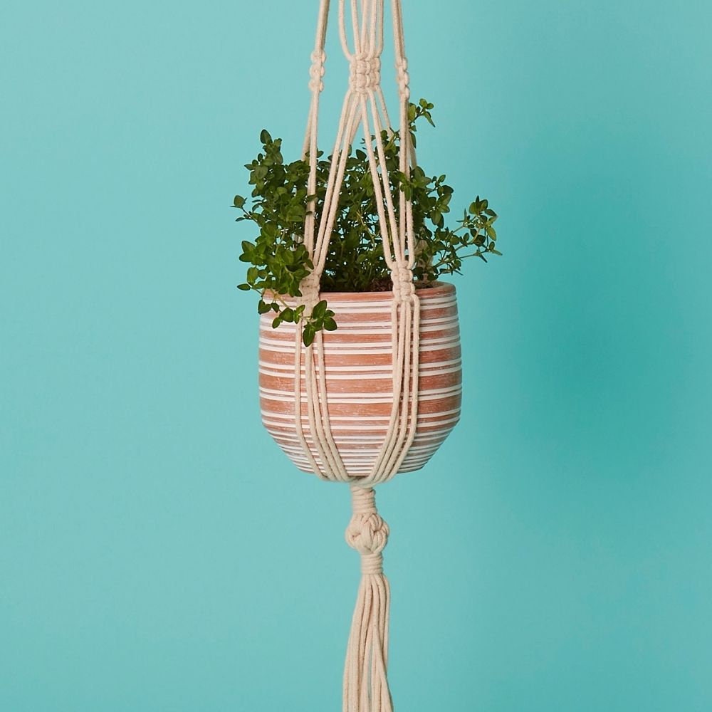 Bangladesh Petit Pot
