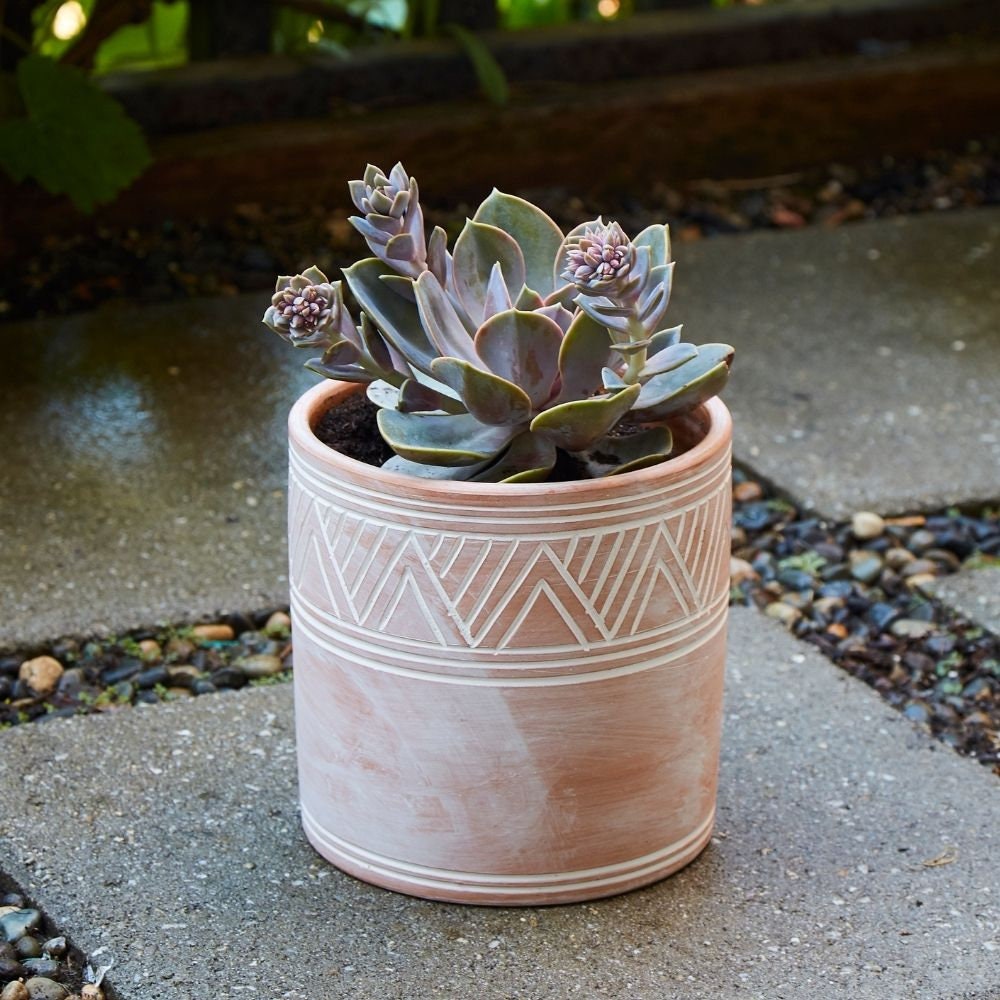 Bangladesh Petit Pot