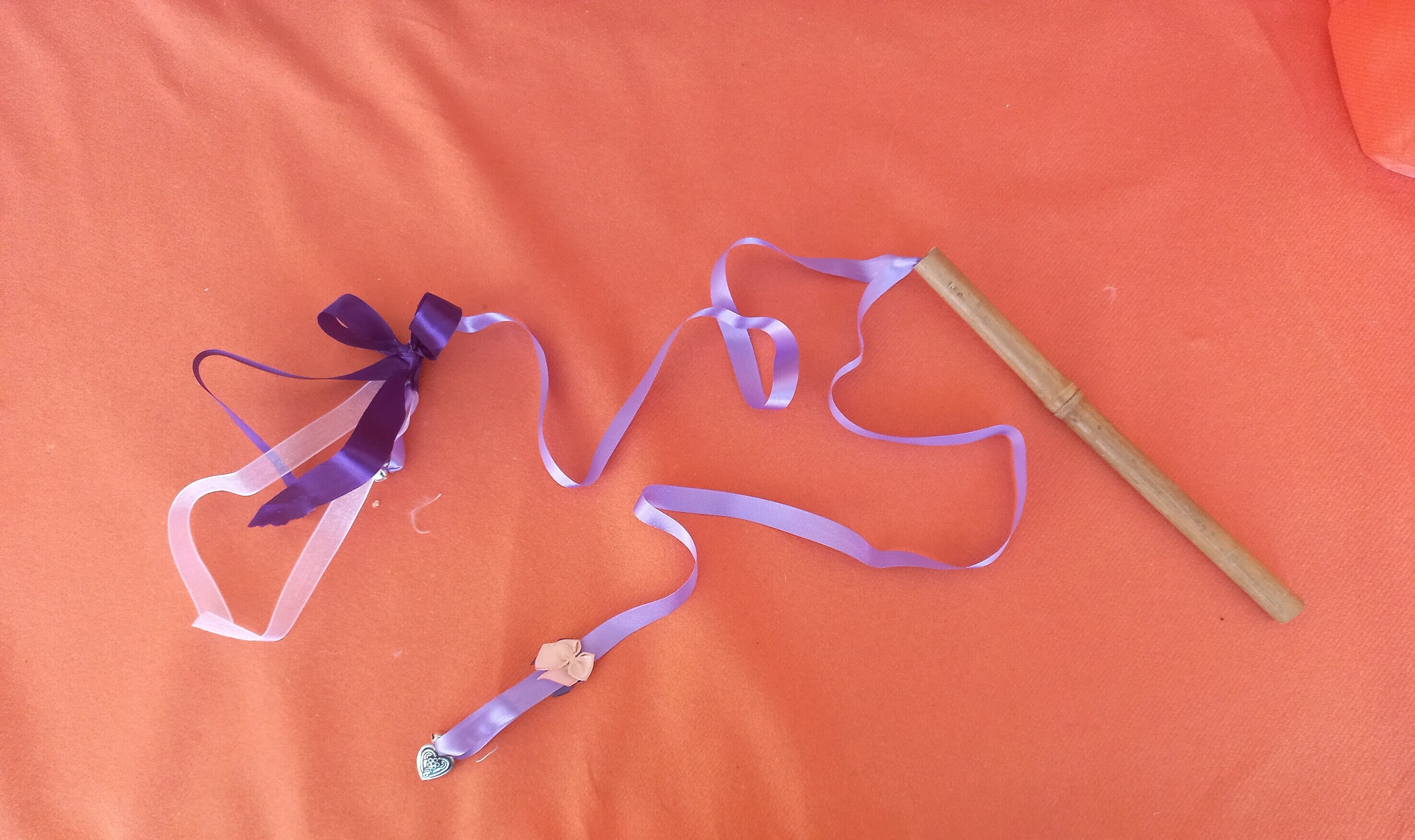 Canne Violette Pour Chat