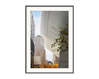 Sunlight through the Oculus Flying Ribs - One World Trade Center - Autumn Day in Manhattan, NYC - Color Photography Print - Framed & Matted