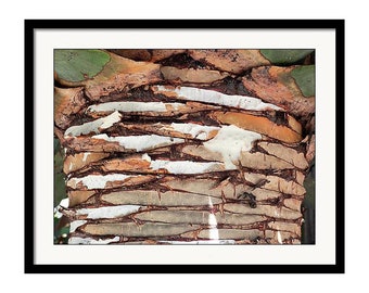 Palm Tree Bark 01 _San Diego_Macro Photography_Framed Photo