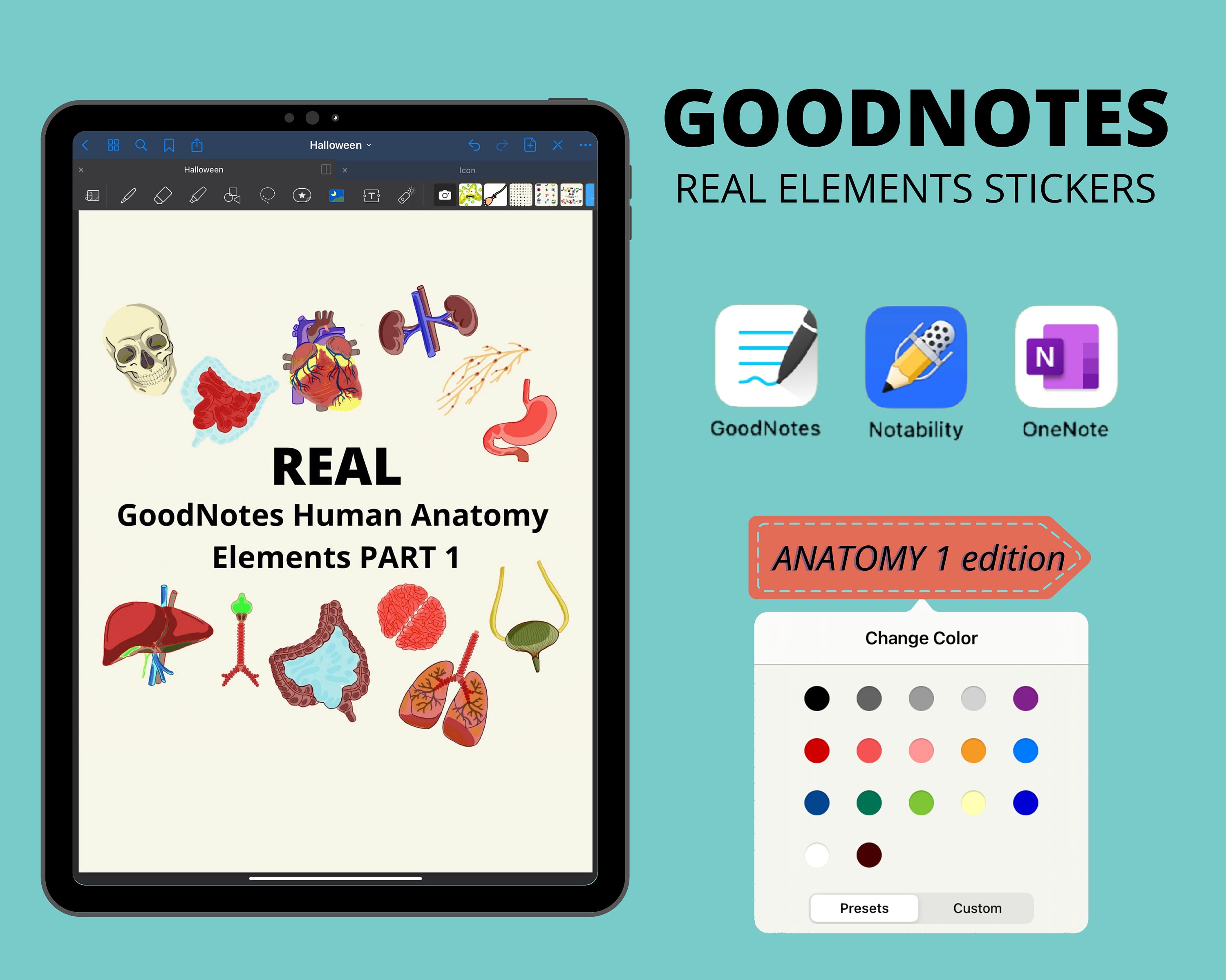 Unlock Anatomy Success: Secret Notability Study Hack - i9od66a