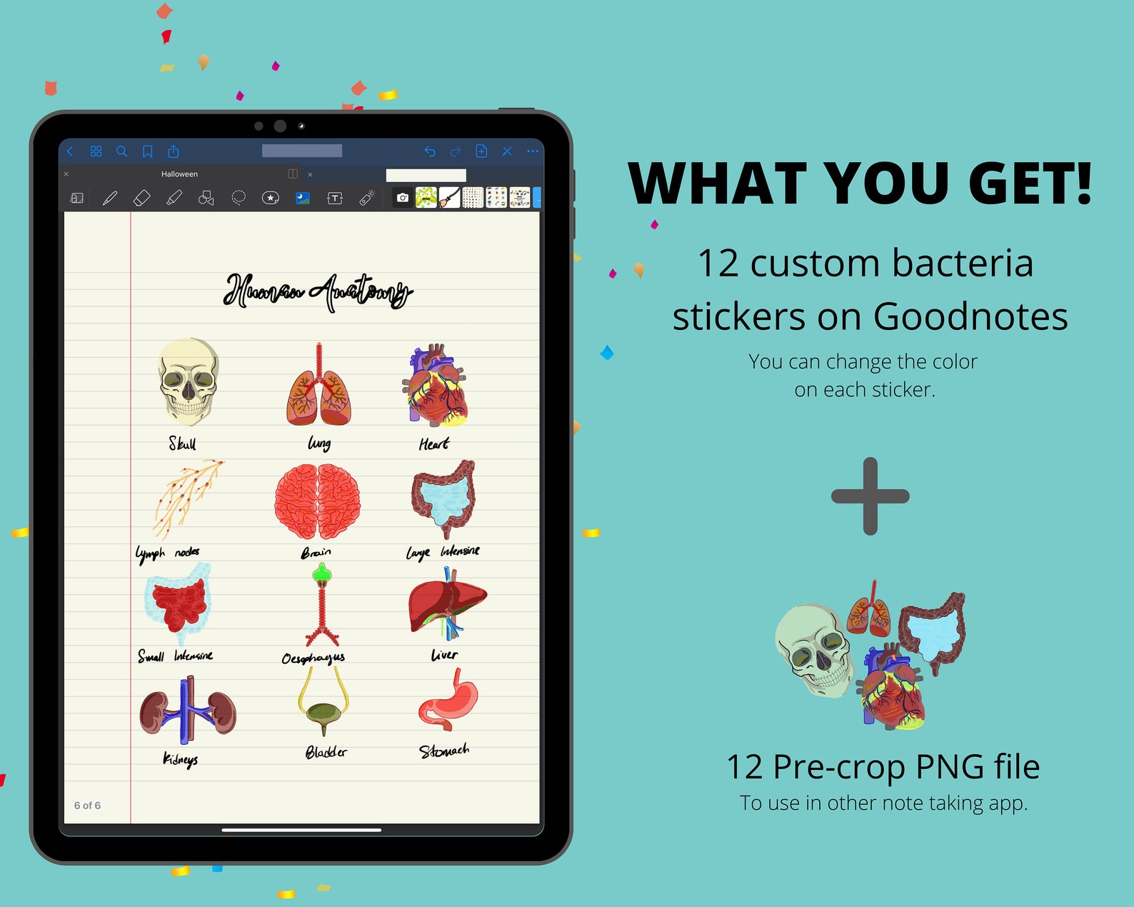 GoodNotes Anatomy Elements Notability Stickers Digital Etsy