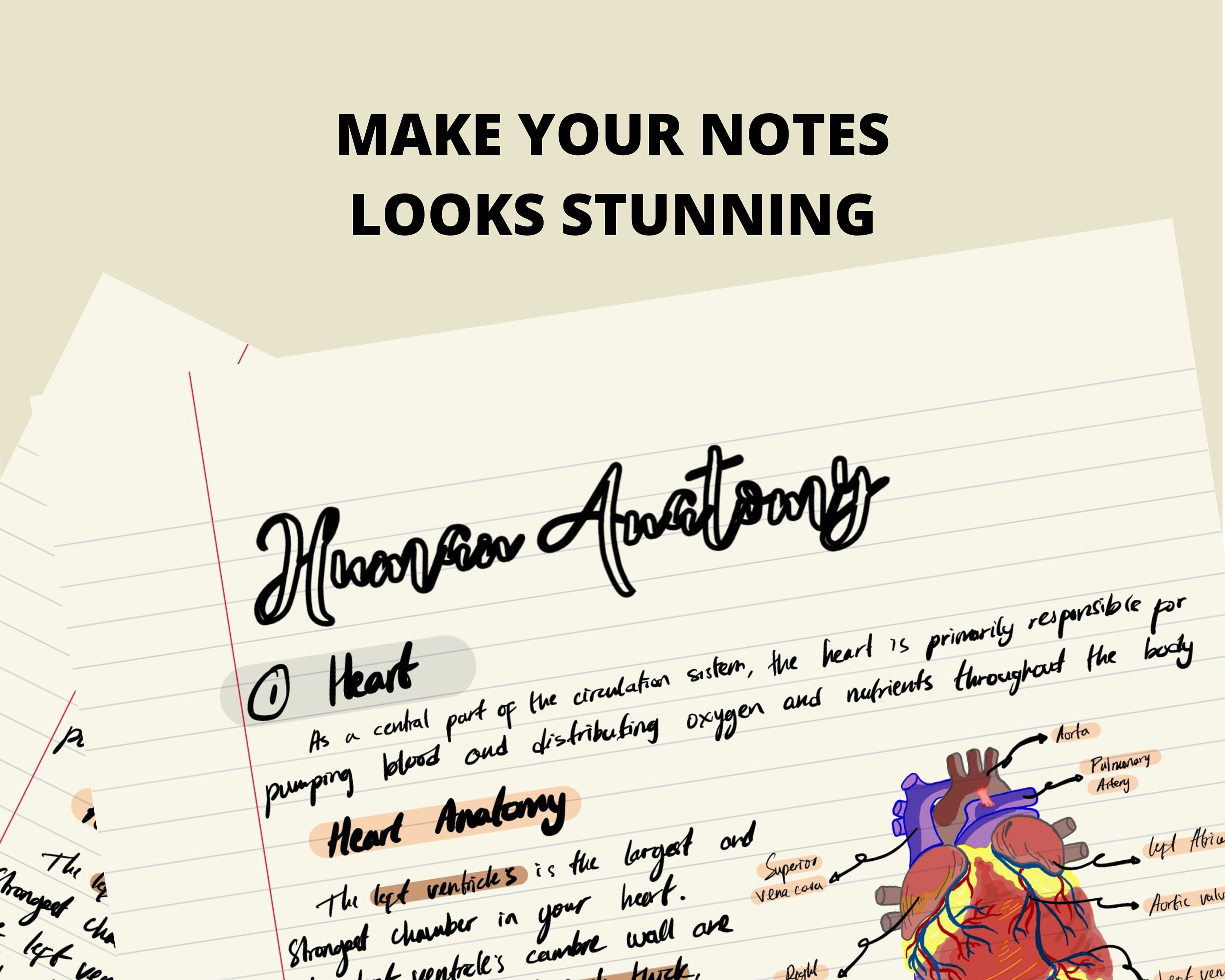 Unlock Anatomy Success: Secret Notability Study Hack - k332qfg