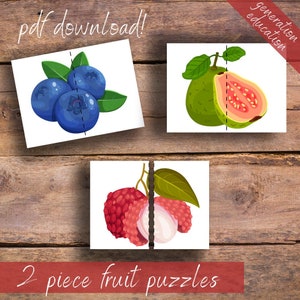 2 piece Fruit Puzzles