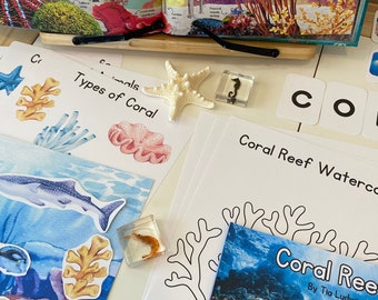 Coral Reef Science Unit: Play Scene, Cards, Worksheets (Digital Download)