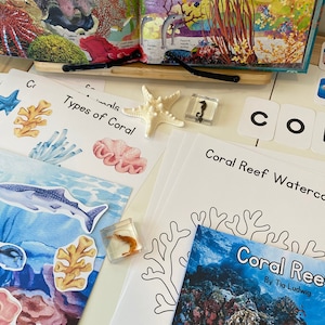 Coral Reefs Mini Science Unit, Coral Reef Unit