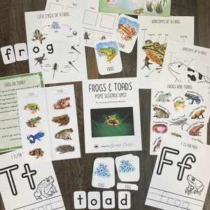 May include: A set of educational flashcards for children featuring frogs and toads. The cards include illustrations of frogs and toads, their life cycles, and their anatomy. The cards also include the letters 'F' and 'T' for 'frog' and 'toad' and the words 'frog' and 'toad' spelled out.