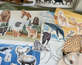 Mammal Activity Pack, Mammal Printables, Mammals Activities