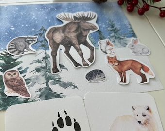 Animals In Winter Unit