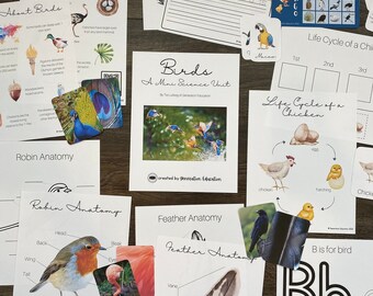Birds Mini Science Unit