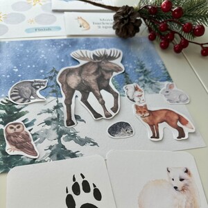 Animals In Winter Unit