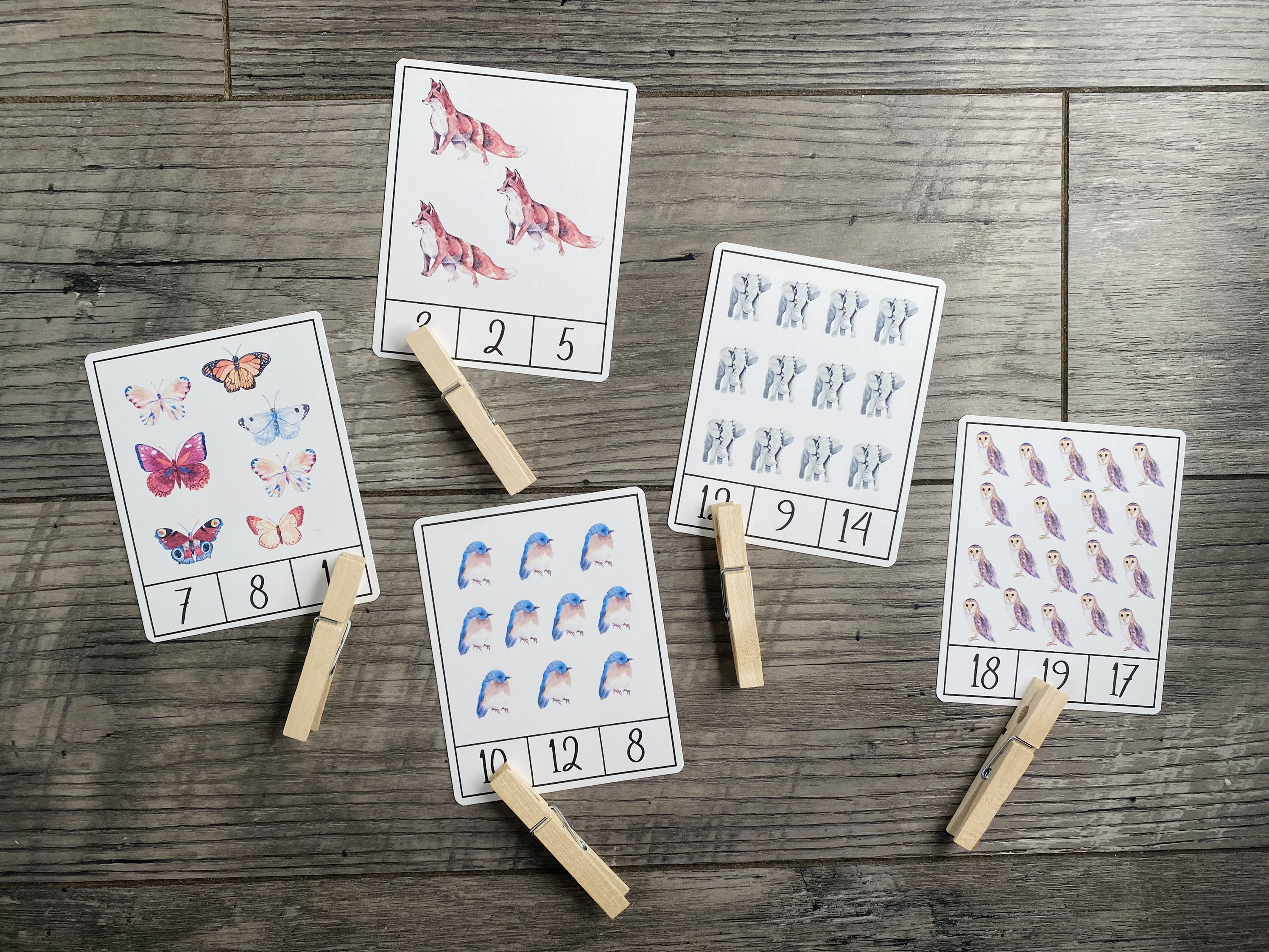 Lizard Counting Card Printable Animal and Bug Count and Clip Cards - Etsy