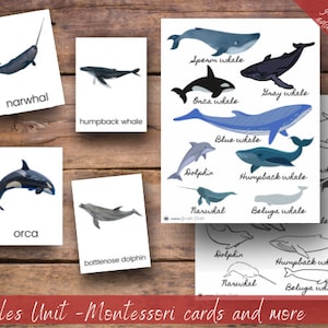 Mini Whale and porpoise Unit