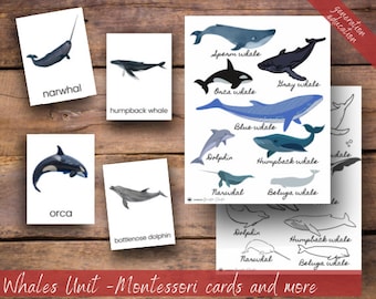 Mini Whale and porpoise Unit