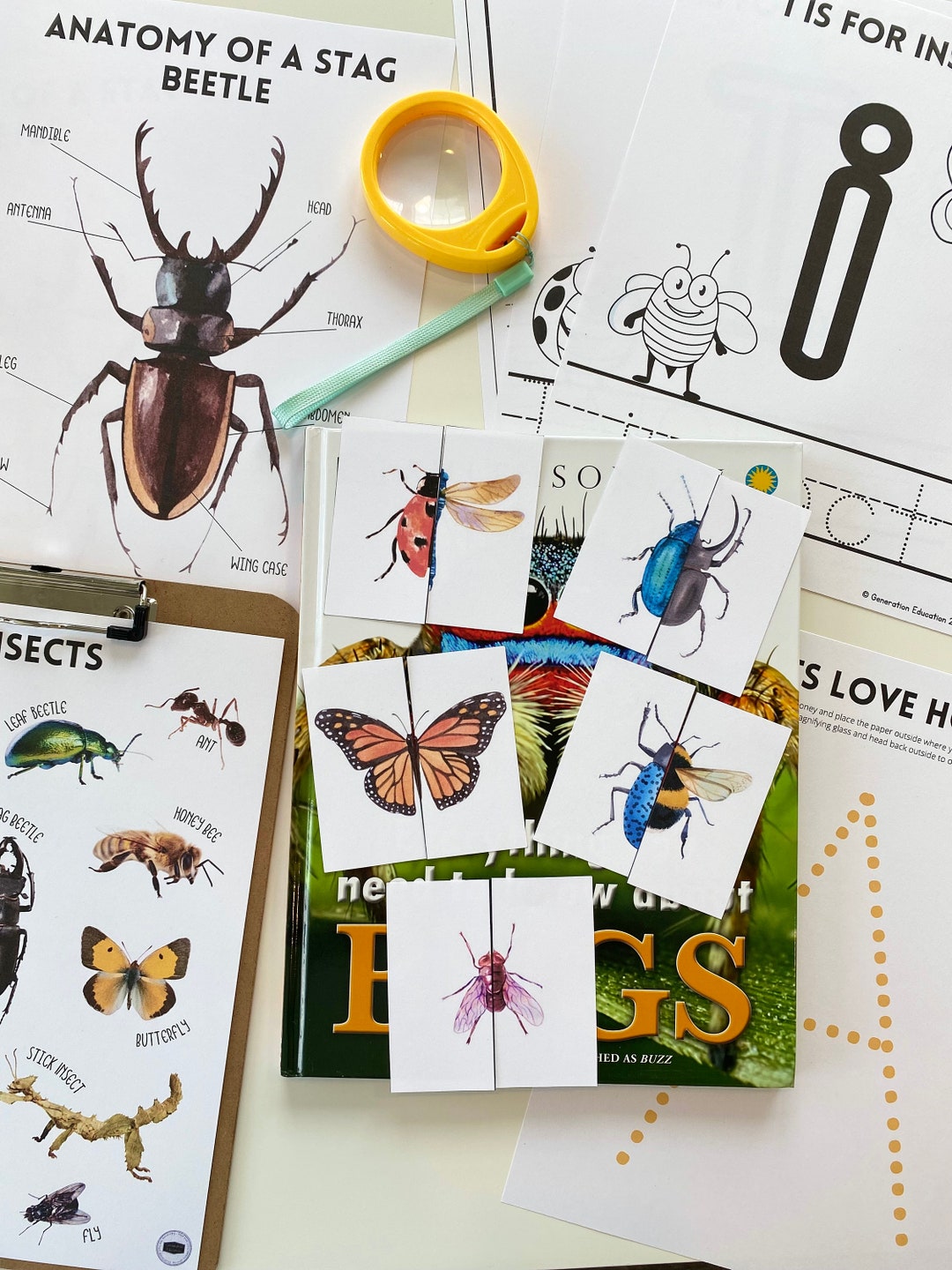 Insects Mini Science Unit