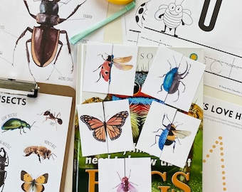 Insects Mini Science Unit
