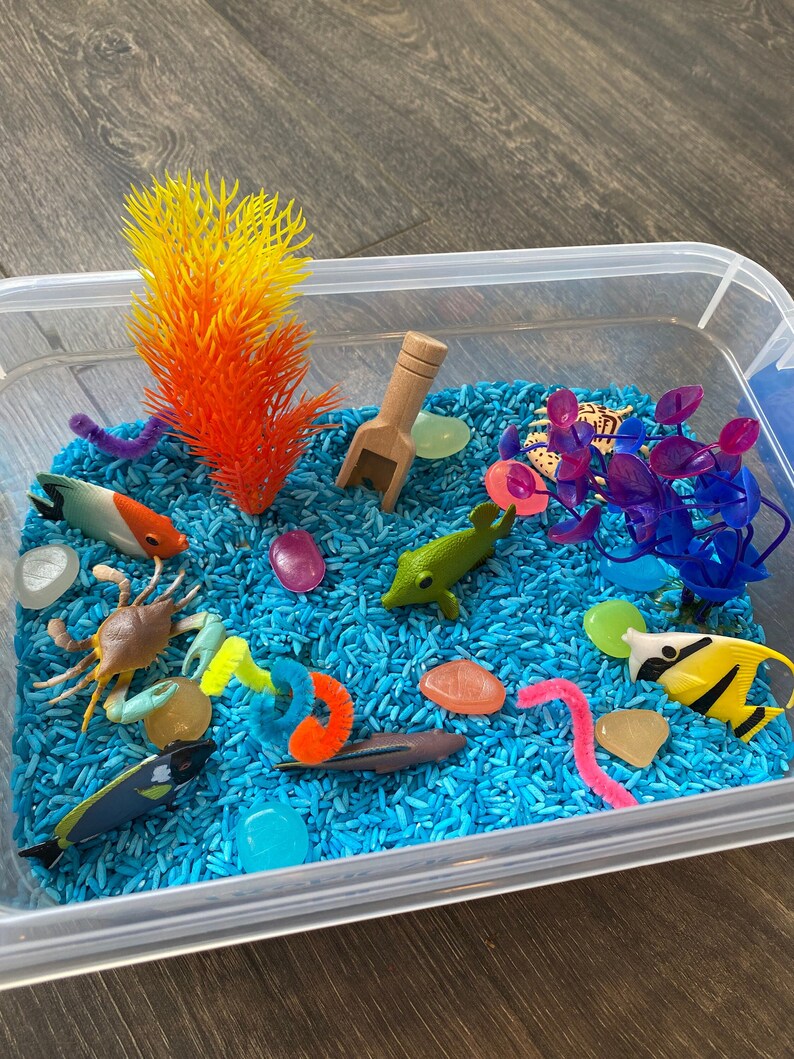 Tropical Fish Sensory Bin / Sensory Kit for Kids / Ocean Etsy
