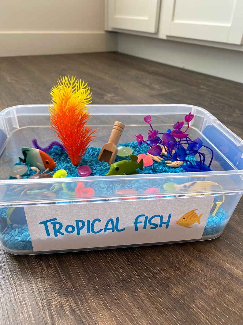 Tropical Fish Sensory Bin / Sensory Kit for Kids / Ocean Etsy