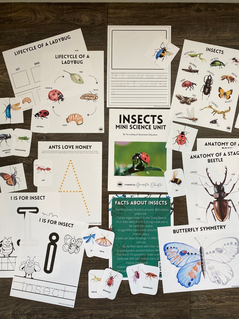Science Project About Insects Insects Mini Science Unit - Etsy