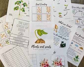 Plants and Seeds Unit