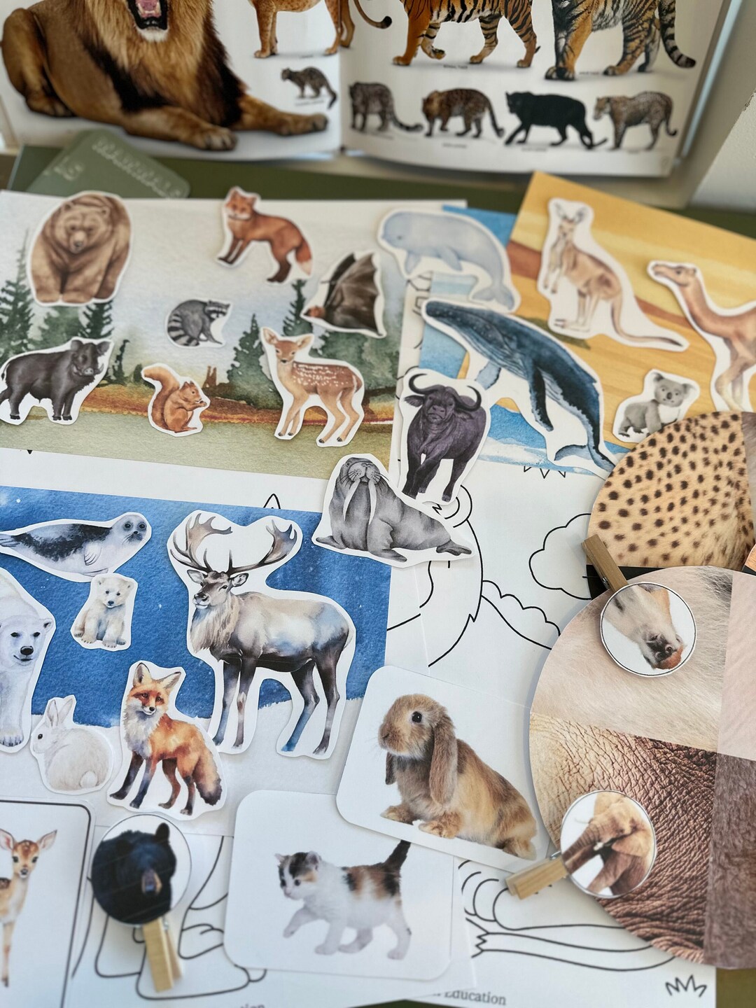 Mammal Activity Pack, Mammal Printables, Mammals Activities - Etsy