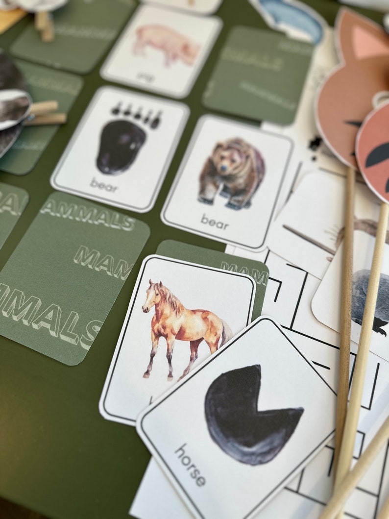 Mammal Activity Pack, Mammal Printables, Mammals Activities - Etsy