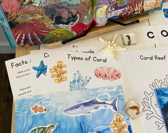 Coral Reef Science Unit: Play Scene, Cards, Worksheets (digital