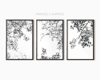 Tree Set Of 3 Photography Prints | Black And White Forest Poster Set