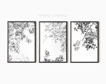 Tree Set Of 3 Photography Prints | Black And White Forest Poster Set