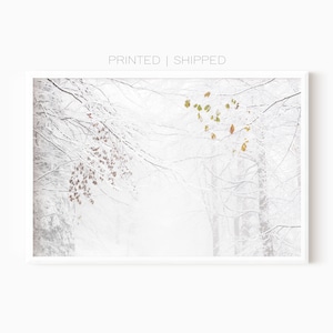 Winter Fotografie Poster | Verschneiter Wald Print | Minimalistisches Dekor | Winterwunderland | Gedrucktes Plakat