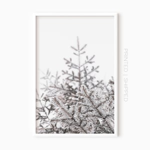 Kiefer Zweige Drucken | Winter Fotografie | Snowy Pines | Home Wandkunst | Art Poster | Wald Wand Kunst | Winter Kinderzimmer Wand Dekor