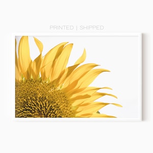 Poster Sonnenblume | Wildblumen Druck | Botanische Wandkunst | Sonnenblume Foto | Gedruckte Kunst