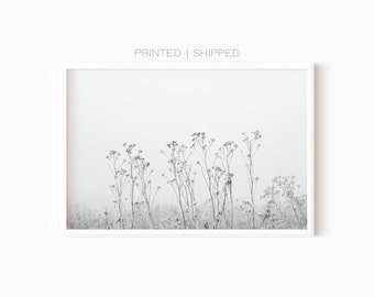 Feld Gras Poster | Botanische Drucke Schwarz Weiß | Wildblumen Wand Kunst | Schwarz Weiss Fotografie