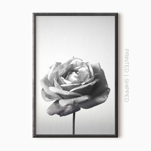 Gift for Wife Flower Photography Black & White / Color Print Rose Photo It Was Written Limited Edition Print