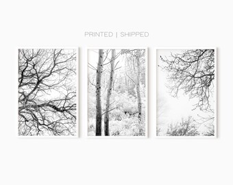 Black And White Set Of 3 Tree Prints | Modern Minimalist Photography Prints | Abstract Nature Art | Bare Tree Branches | Large Poster Set