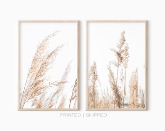 Beige Grass Photography Prints | Set Of 2 Prints Botanical | Modern Farmhouse Art | Country Cottage Art
