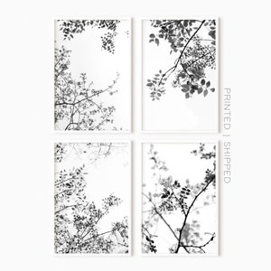 Set Of 4 Black And White Prints | Tree Branches Art | Modern Forest Photography | Botanical Print Sets | Printed Art | Gallery Wall Set