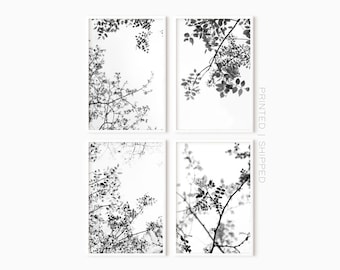 Set Of 4 Black And White Prints | Tree Branches Art | Modern Forest Photography | Botanical Print Sets | Printed Art | Gallery Wall Set