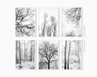 Wald-Wandkunst-Set mit 6 Drucken | Schwarz-Weiß-Galerie-Wandkunst | Baum-Poster-Set | Naturfotografie