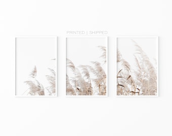 Set Of 3 Grass Photography Prints | Farmhouse Poster Free Shipping