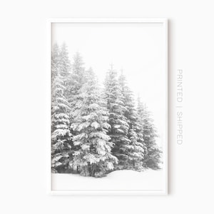 Snowy Forest Print | Winter Landscape Photography | Christmas Decor | Snowy Pines Poster