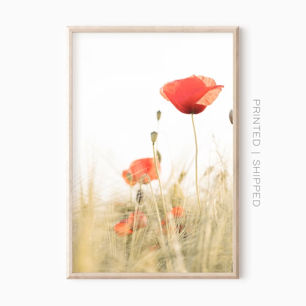 Poppy Photography | Red Poppy Print | Farmhouse Decor | Poppy Wall Art | Floral Decor | Flower Poster | Nature Photography | Printed Art